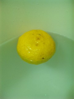 blog:ゆず湯_a0103940_8171952.jpg
