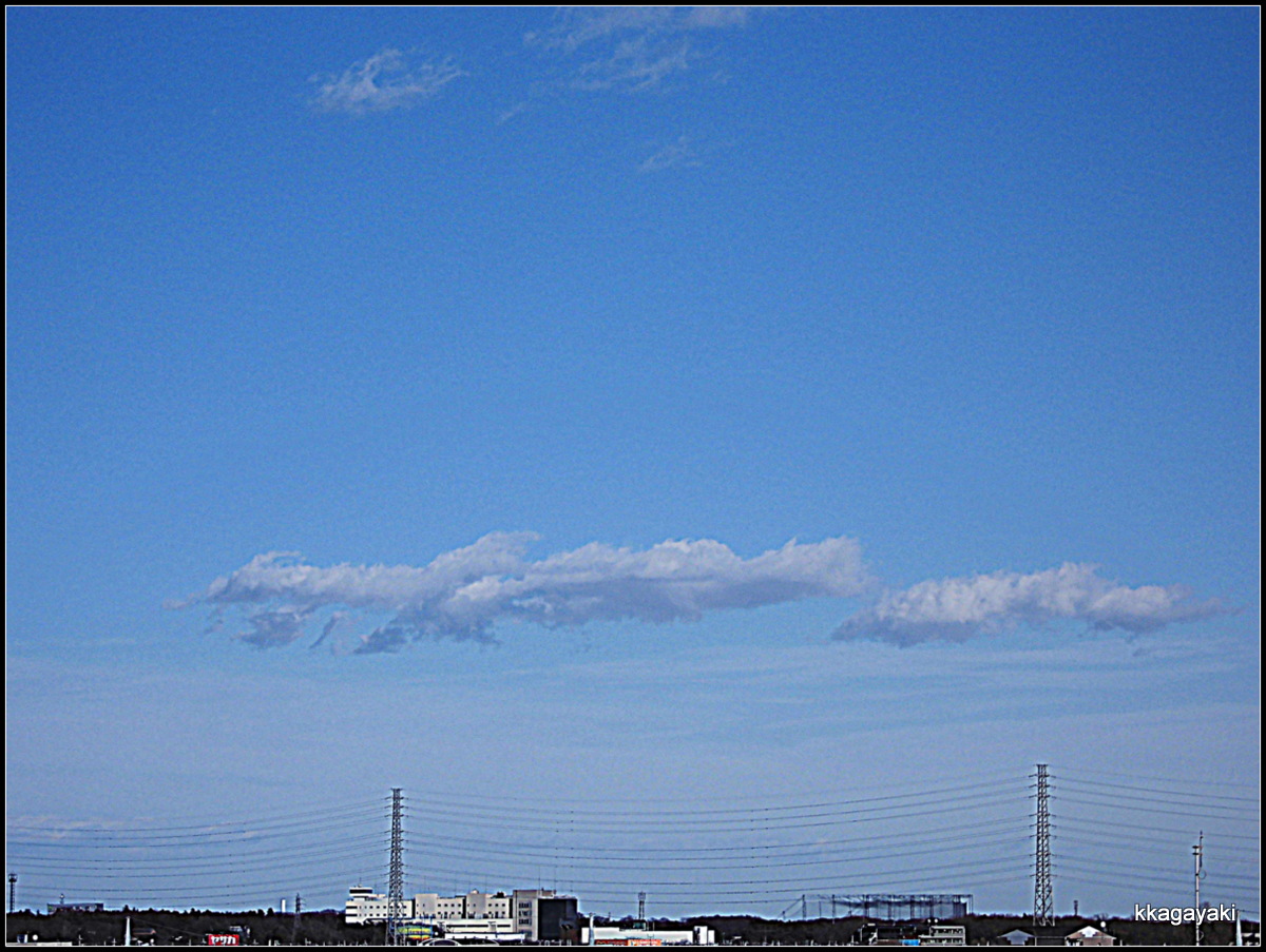 e0206242_4483428.jpg