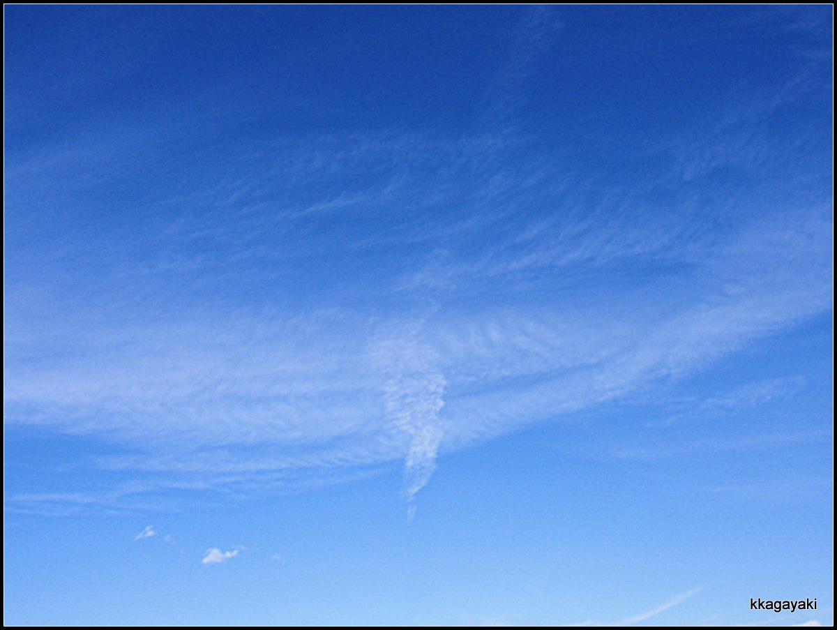 e0206242_44888.jpg