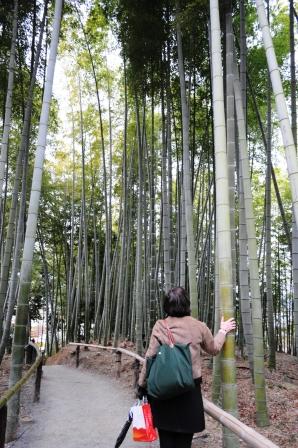 ～再会の旅 in 京都～_e0064043_2524819.jpg