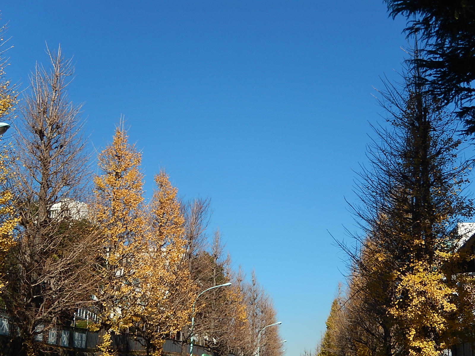 12月21日　渋谷　原宿　の自転車屋　FLAME bike前です_e0188759_11402452.jpg