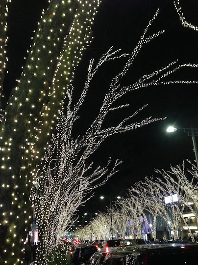 X\'mas イルミネーション_d0069964_23482884.jpg