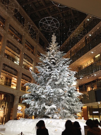 X\'mas イルミネーション_d0069964_23501272.jpg
