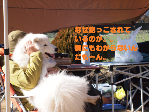 d0251768_020238.png