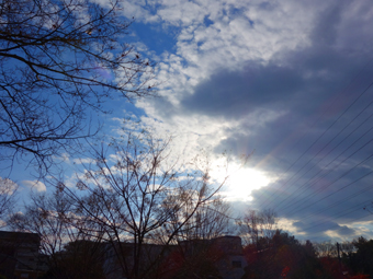 c0265773_20243840.jpg