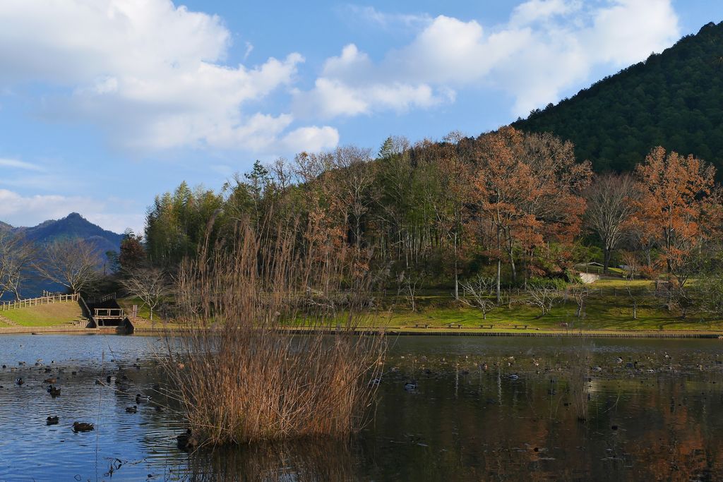 e0152576_21491863.jpg