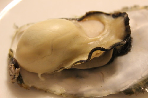 e0114977_8531169.jpg