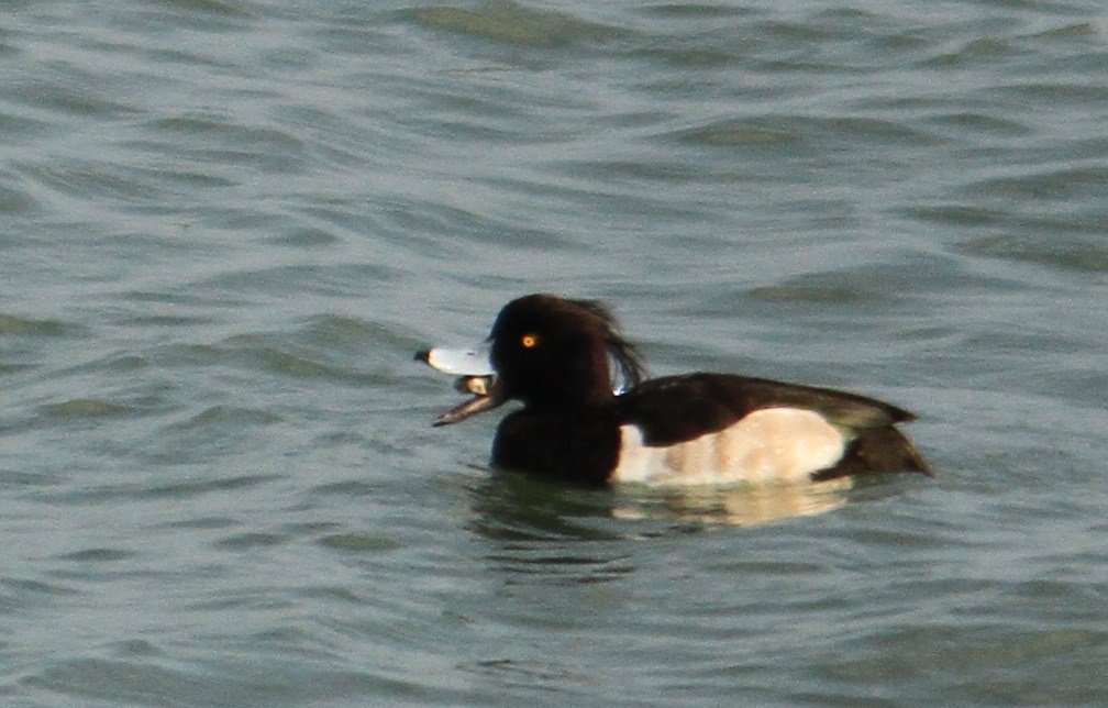 e0197884_065861.jpg