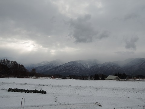 雪が降りました…_a0211886_0461391.jpg