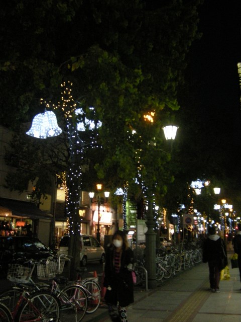 f0063887_1404631.jpg