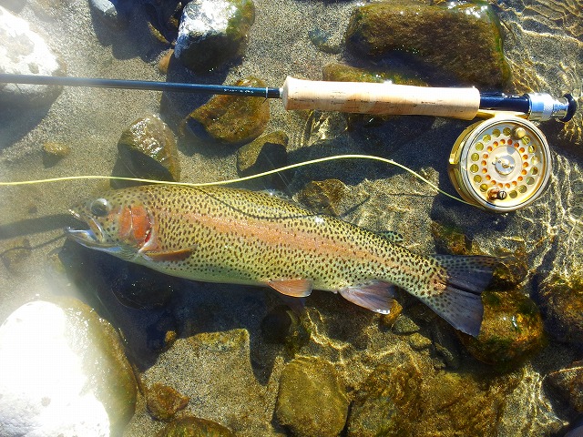 b0233990_20410543.jpg