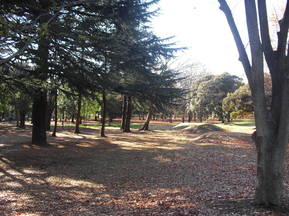 c0109090_18451828.jpg