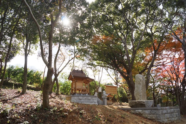 晩秋奈良から桜井線の旅、相撲神社訪ねてローカル線の旅、素晴らしい大兵主神社の秋を訪ねて_d0181492_22125357.jpg