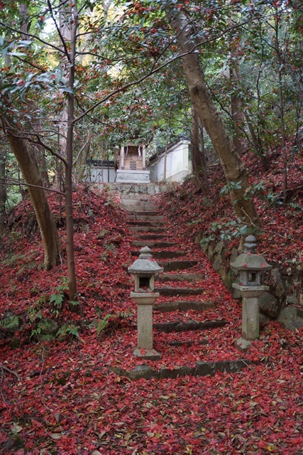 晩秋奈良から桜井線の旅、相撲神社訪ねてローカル線の旅、素晴らしい大兵主神社の秋を訪ねて_d0181492_22152820.jpg