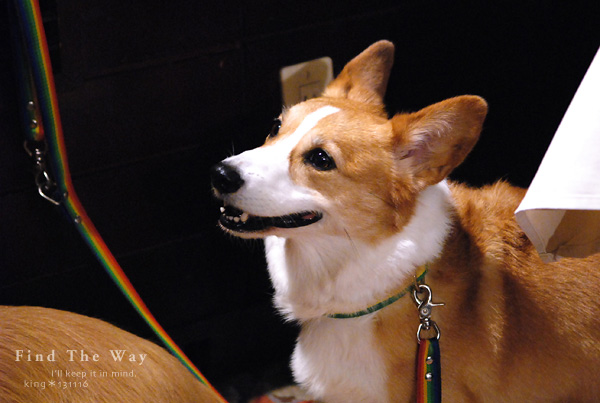 【wanこ】高山オフ 2013 vol.6 ~ 飛騨懐石 初秋の宴_f0054594_2135030.jpg