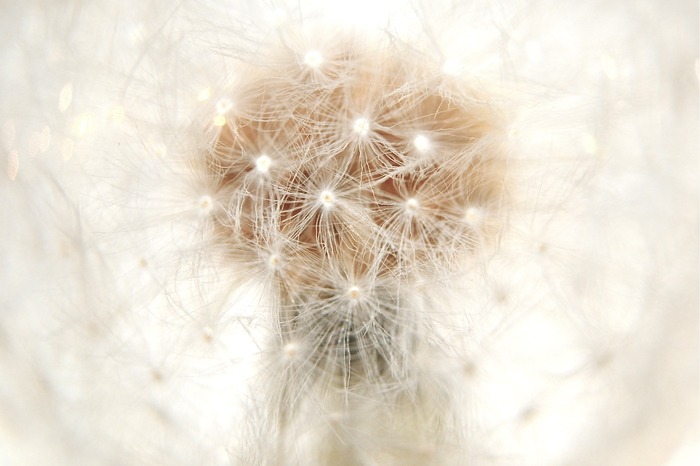 カメラ_a0214096_2244183.jpg