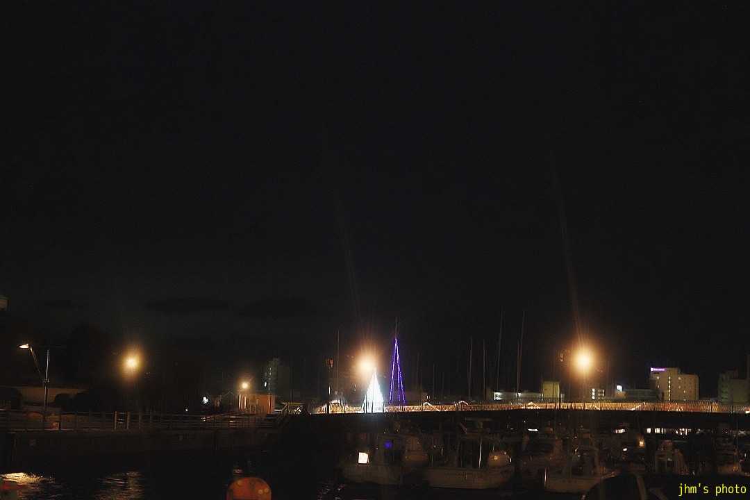帰り途の夜の港_a0158797_23303868.jpg