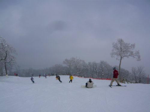 c0024502_2330880.jpg