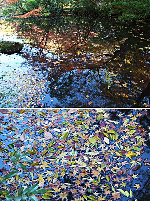 e0039703_02335.jpg