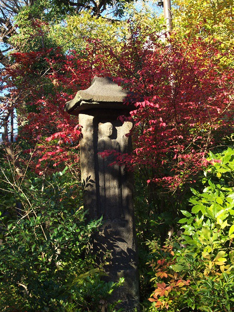 e0039703_03154.jpg