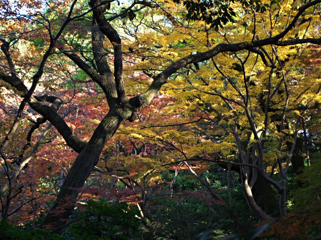 e0039703_03327.jpg