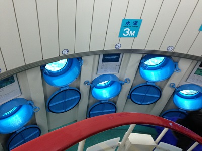 e0178307_1145264.jpg