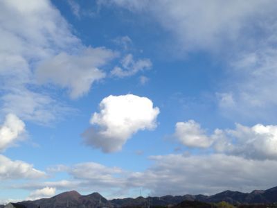 a0206808_1954823.jpg