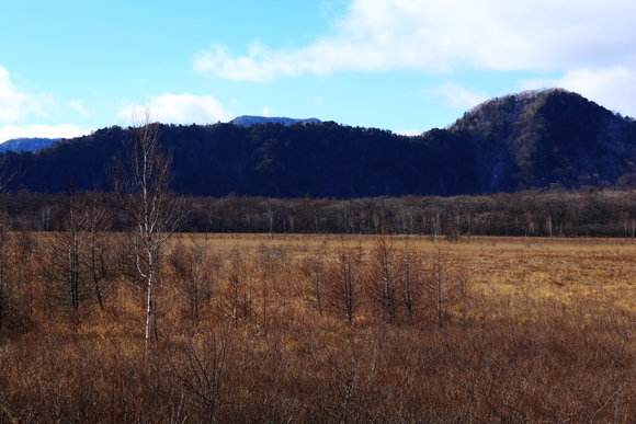 f0302208_1350969.jpg