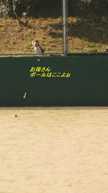 a0161310_125955100.jpg