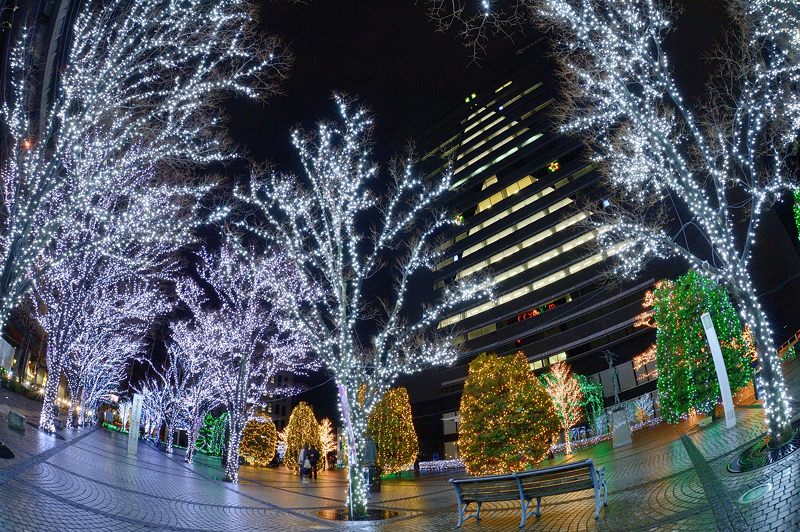 クリスマスイルミネーション＠京セラ本社　其の一_f0032011_1531375.jpg