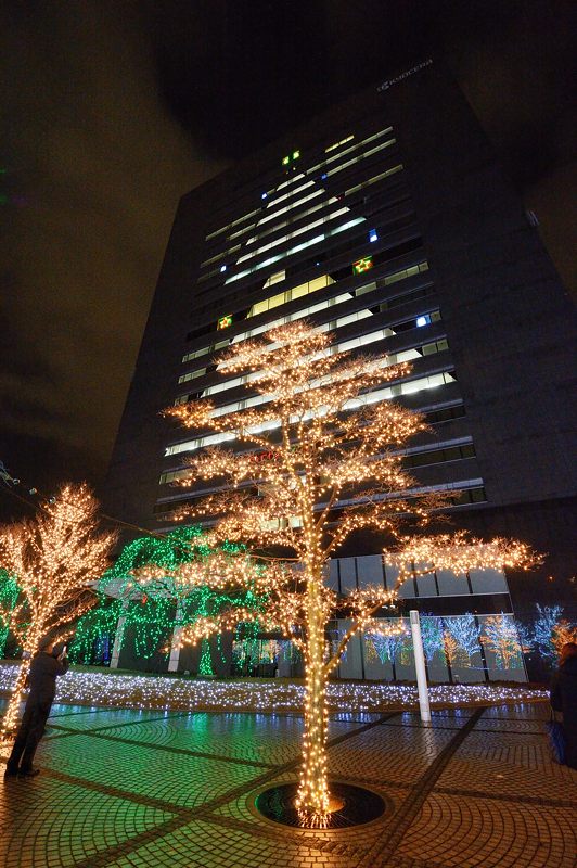 クリスマスイルミネーション＠京セラ本社　其の一_f0032011_1532167.jpg