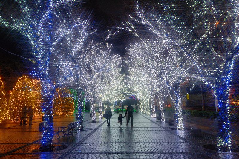 クリスマスイルミネーション＠京セラ本社　其の一_f0032011_15322894.jpg