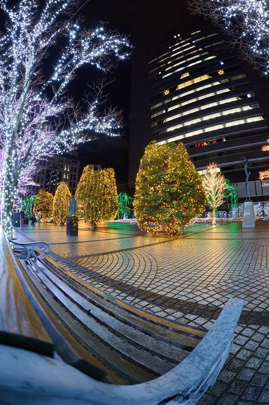 クリスマスイルミネーション＠京セラ本社　其の一_f0032011_1537417.jpg