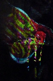a0177314_23573368.jpg