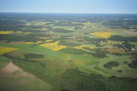 d0063314_15475922.jpg