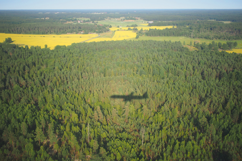 d0063314_15493044.jpg