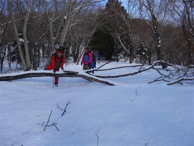 女川の石投山（いしなげざん） _a0127015_18425793.jpg