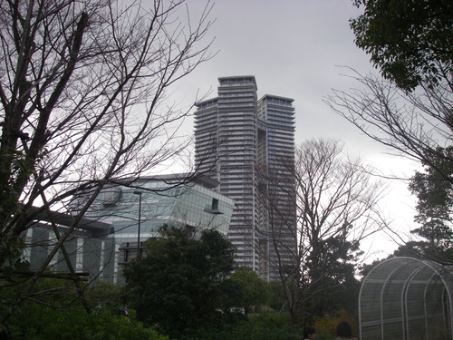 a0315918_1935416.jpg