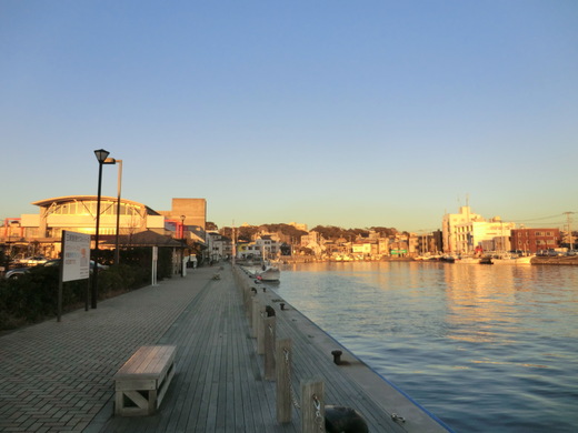 d0221319_95571.jpg