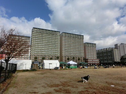 e0179321_1552518.jpg