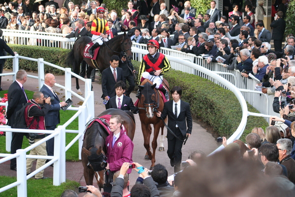 輝いた金細工師 オルフェーヴルの有馬記念と引退式 東京競馬場の怪人 輝いた金細工師 オルフェーヴルの有馬記念と引退式 東京競馬場の怪人