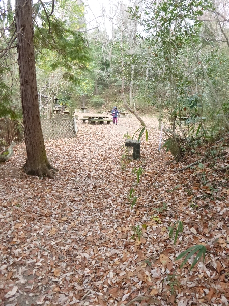c0113733_043374.jpg