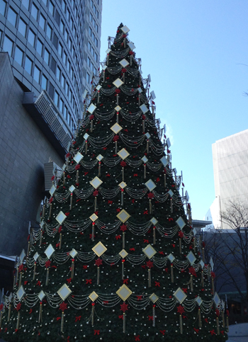 b0035734_20213917.jpg