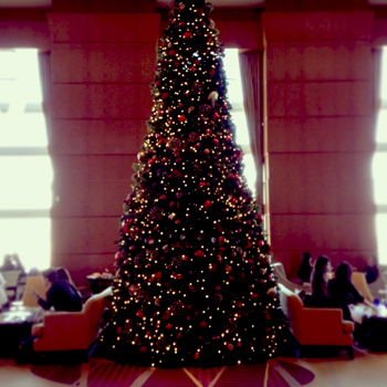b0035734_20283347.jpg