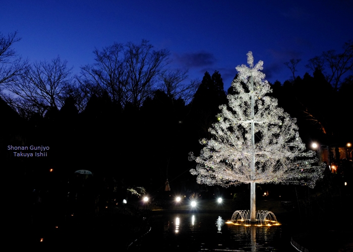 第323回 一生に一度、必ず見ておきたいクリスマスツリー　～箱根ガラスの森美術館～_b0281035_1103121.jpg
