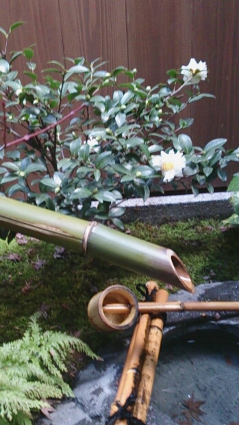 b0303135_1164832.jpg