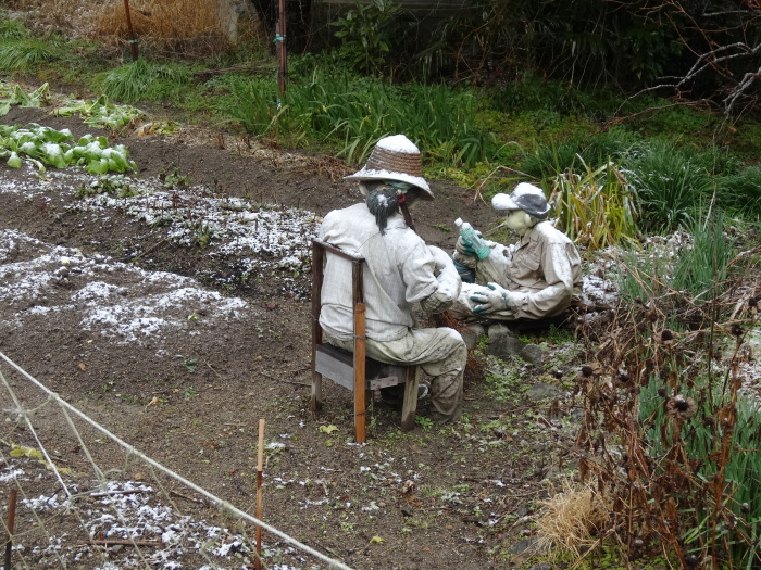 初雪＆案山子_b0042439_07010075.jpg