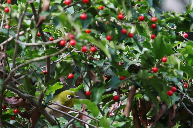 c0172139_8283442.jpg