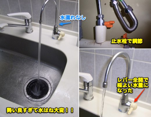 大成功!! こんさん感謝ですm(__)m_c0063348_16135785.jpg
