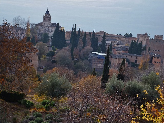 d0048350_196230.jpg